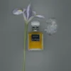 Le dix parfum Le dix parfum