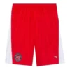 Pantalones cortos de fútbol Sporty B «Rojo» 641609TJV056540