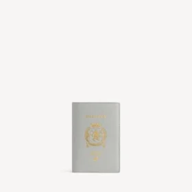 Portapasaportes para hombre en gris Balenciaga