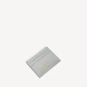 Portatarjetas de pasaporte para hombre en color plata