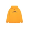 Sudadera con capucha «Year Of The Tiger» de corte medio «Orange» 600583TLVI67702